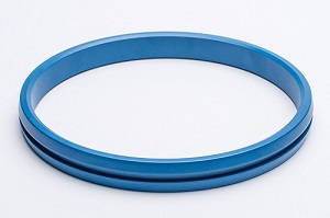 IX SEALRING GASKET